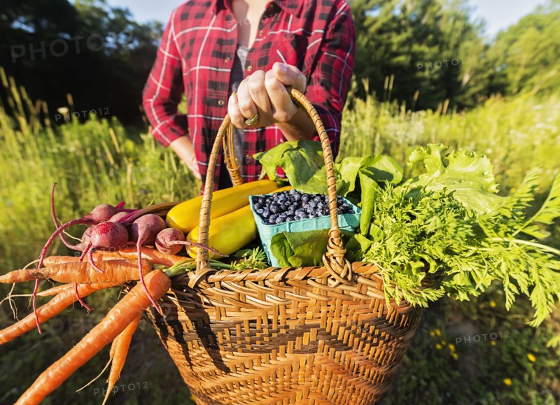Mid section of woman holding basket with vegetables and fruits