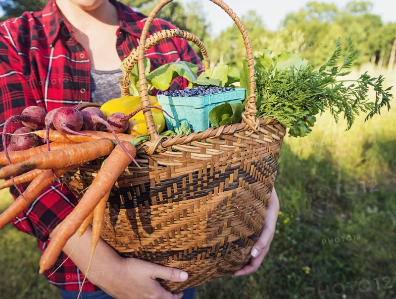 Mid section of woman holding basket with vegetables and fruits