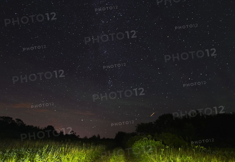 View of starry sky from dirt road at night