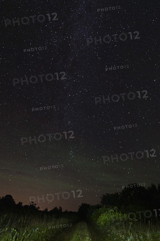 View of starry sky from dirt road at night