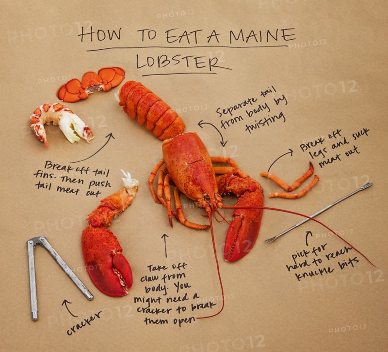 How to eat lobster instructions