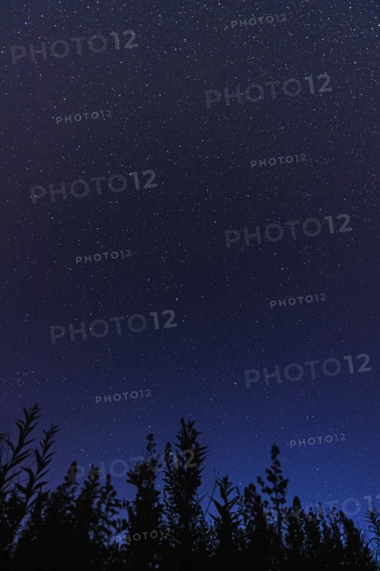 Starry sky at night