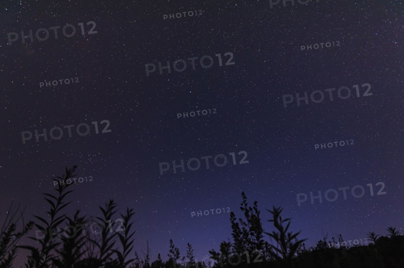 Starry sky at night
