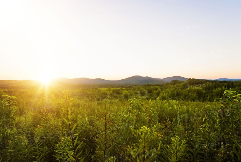 Green valley at sunset
