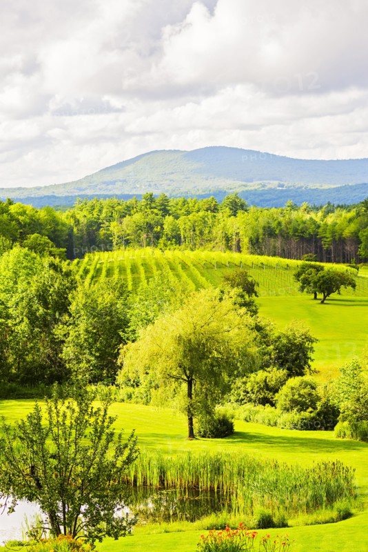 Scenic green landscape under cloudy sky