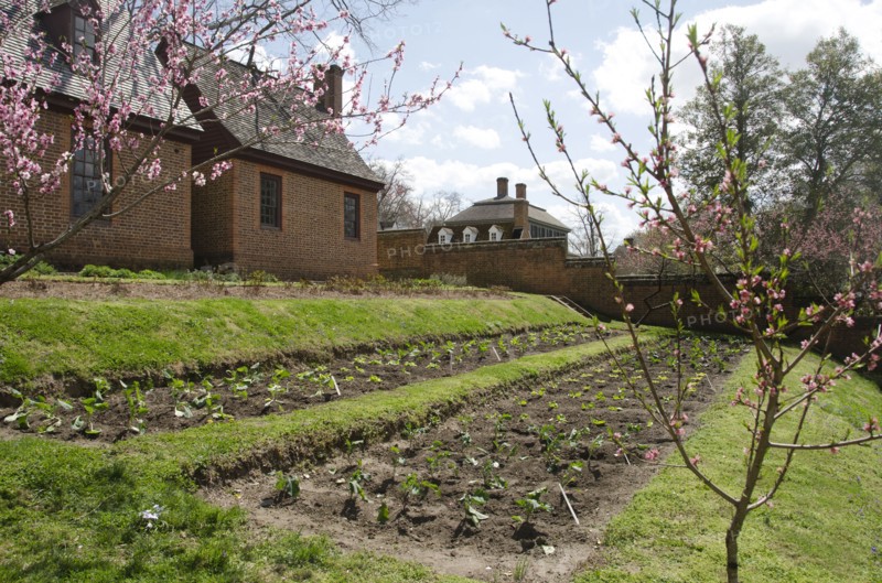 House with garden