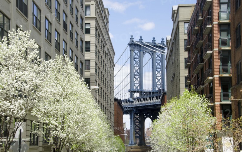 Manhattan Bridge seen between residential buildings