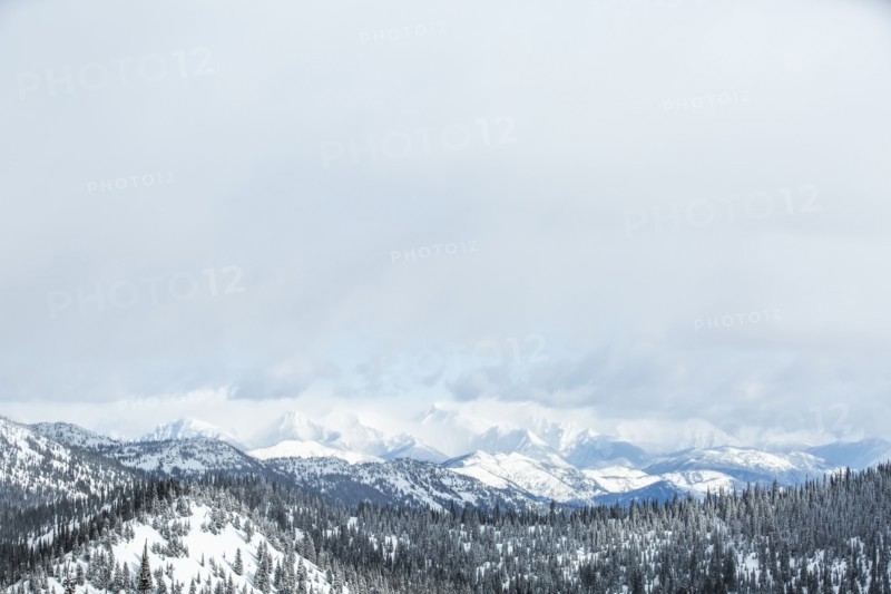 Landscape with mountains and forest in winter