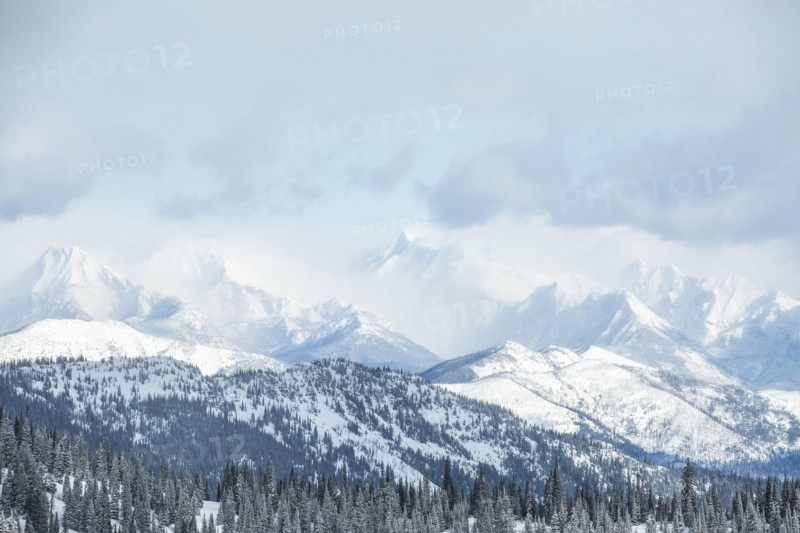 Landscape with mountains and forest in winter