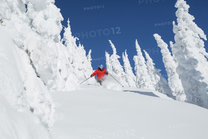 Mature woman skiing between trees covered with snow