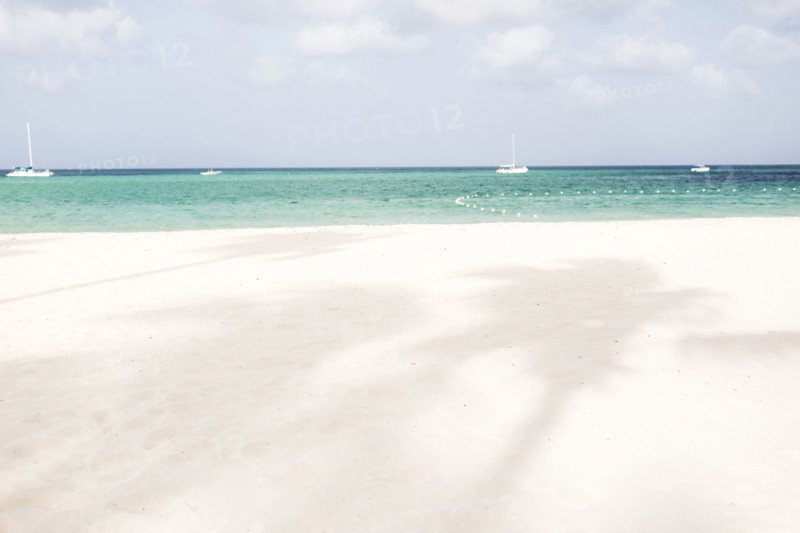 View of beach, shadows of palm trees and yachts in distance