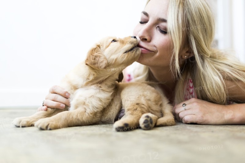 Owner kissing Golden Retriever puppy