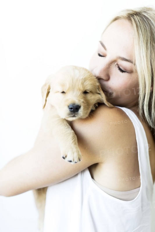 Studio shot of Golden Retriever puppy with owner