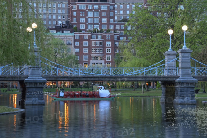 Boston public garden at dawn