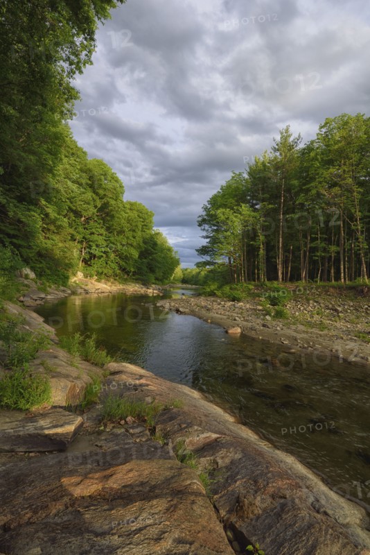 View of Williams River