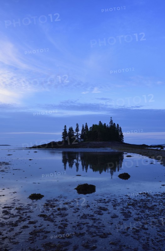 Low tide at Owls Head at dawn