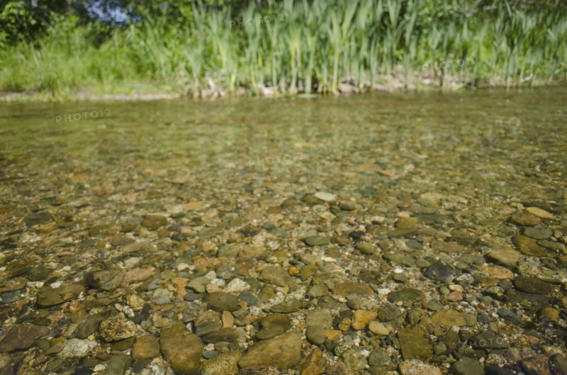 Close-up of water in river