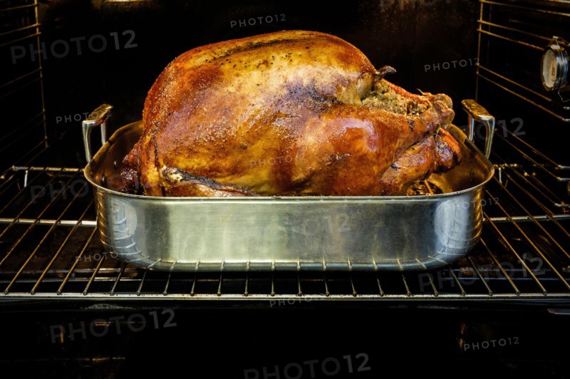 Roasted turkey for Thanksgiving in oven.