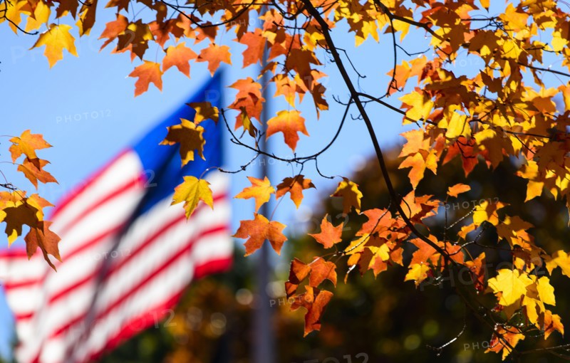 Autumn leaves with American Flag in background. Central Park, New York, New York State, USA.