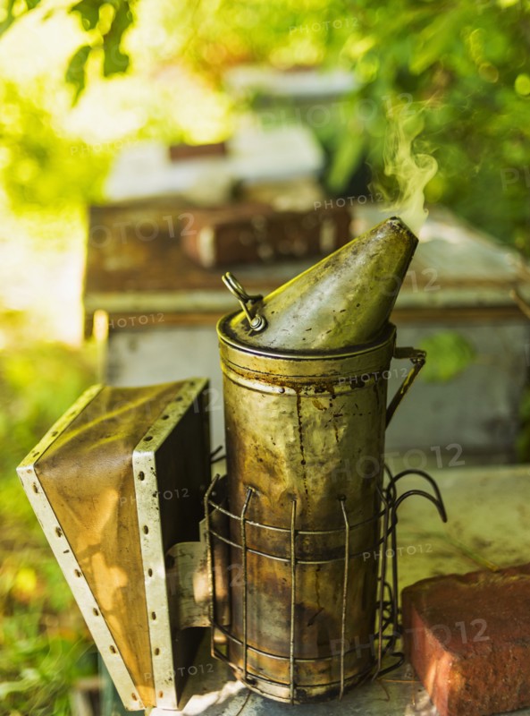 Hope, Bee smoker on beehive