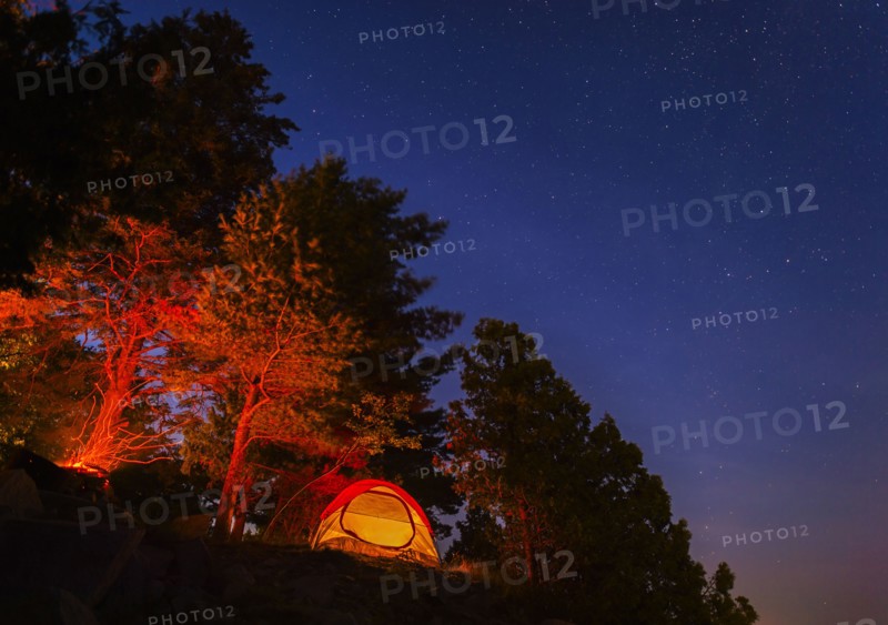 Tent by forest at night