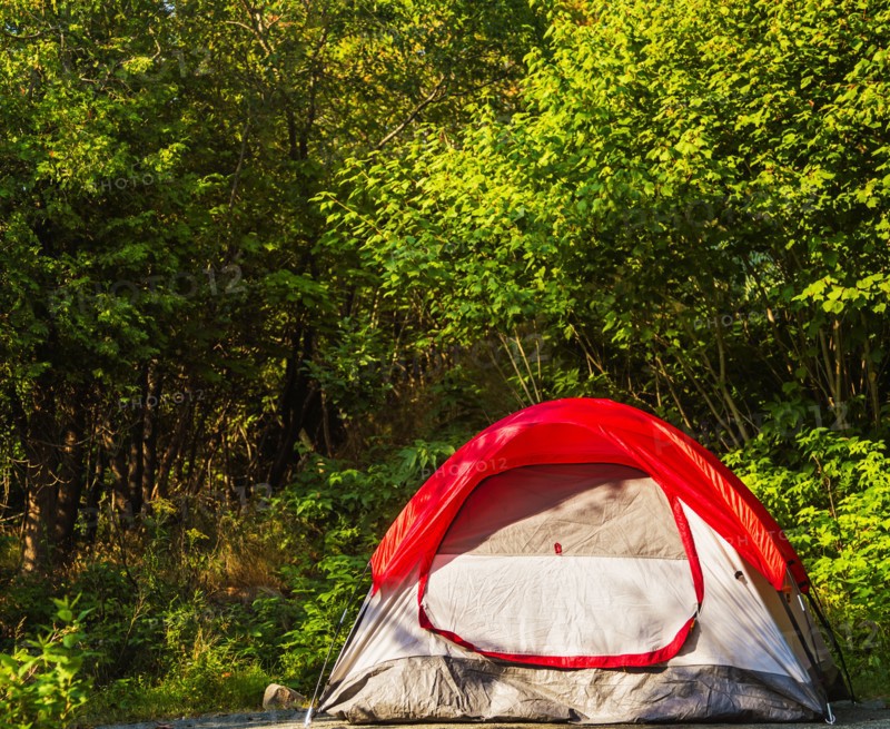 Tent in forest