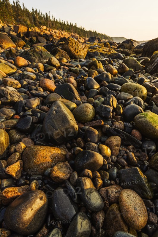 Rocks on beach at sunrise