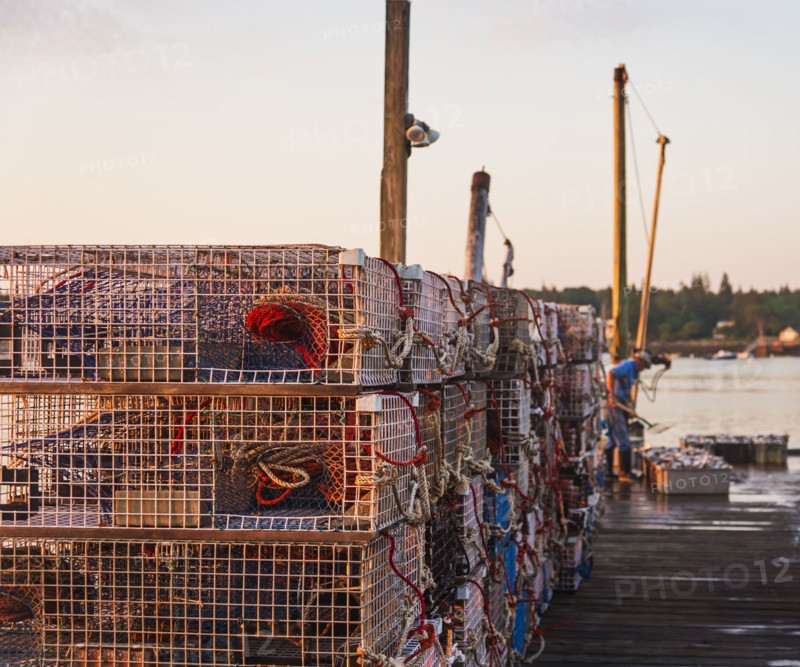 Stacks of lobster traps on jetty at sunrise with man working in background