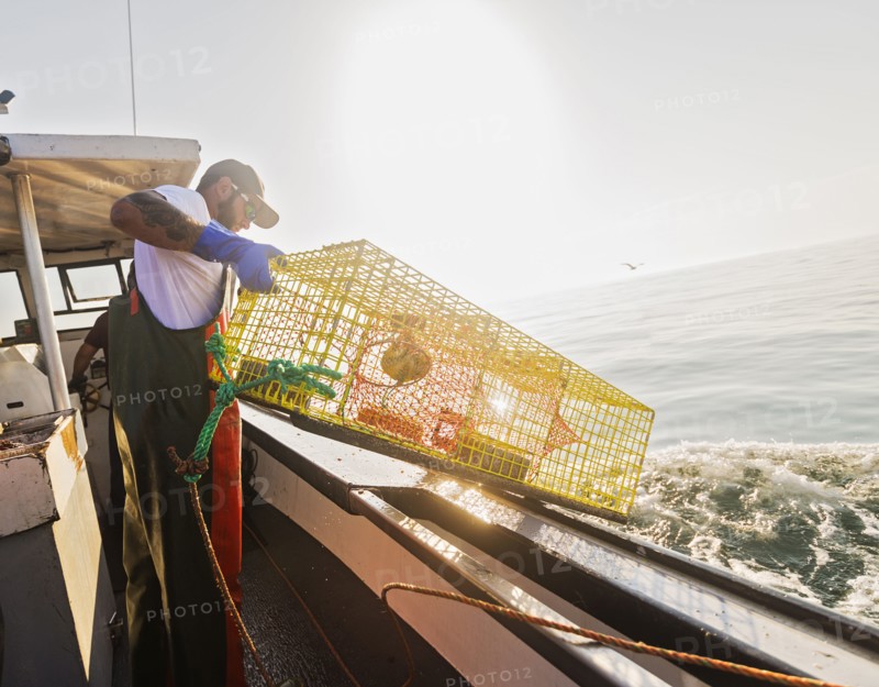 Fishermen throwing lobster trap