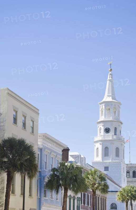 Buildings and palm trees in city