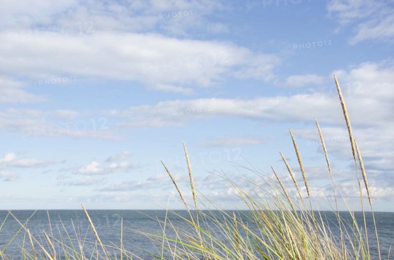 Tranquil seascape