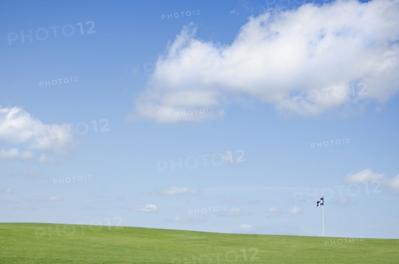 Green field with blue flag