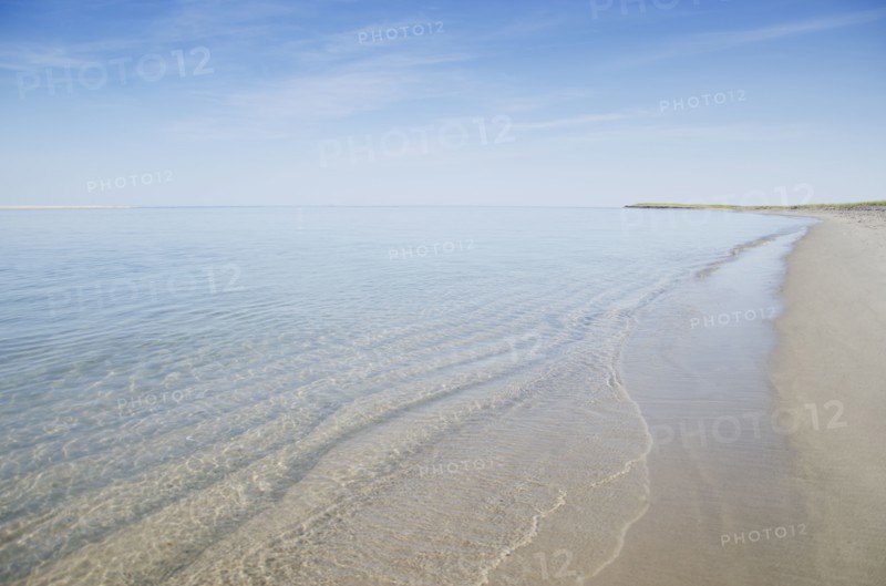 Coastline of sandy beach