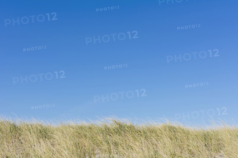 Clear blue sky above field of grass