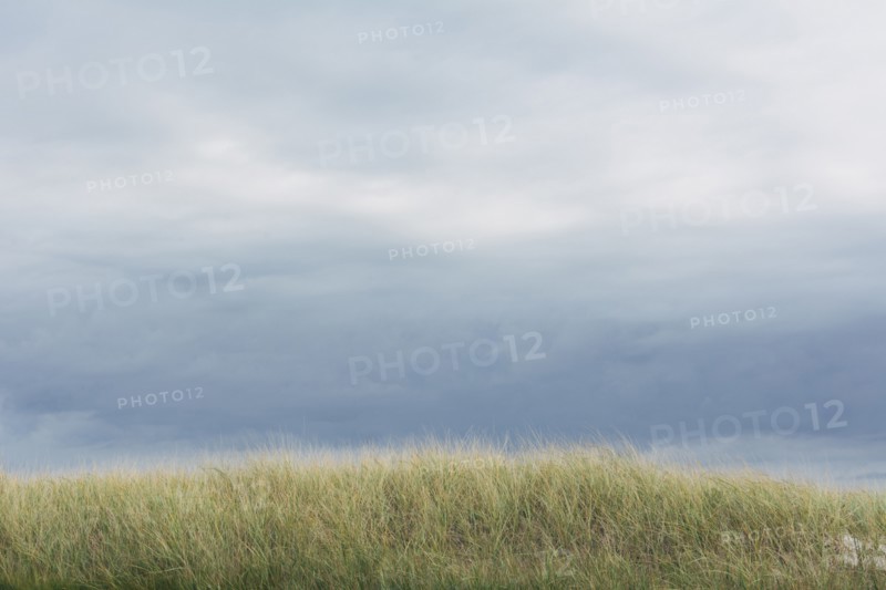 Cloudy sky and meadow
