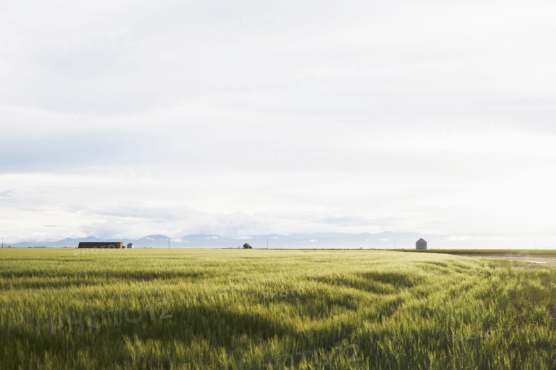 Scenic rural landscape