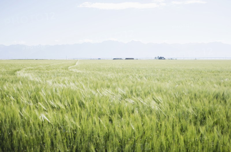 Scenic rural landscape