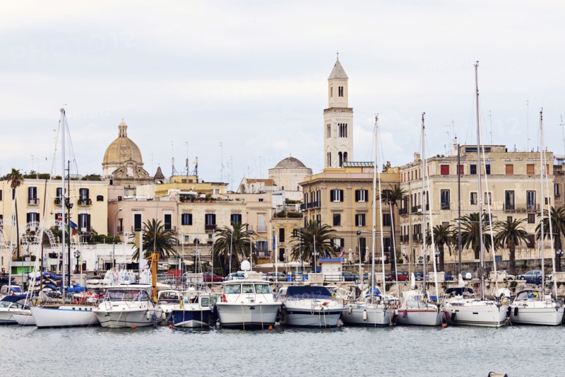 Boats in marina with city buildings in background