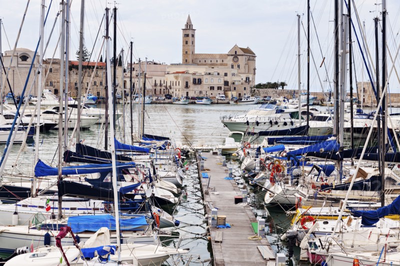 Boats in marina with city buildings in background