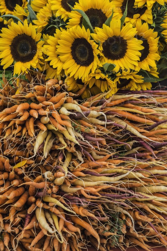 Carrots and sunflowers in farmers market