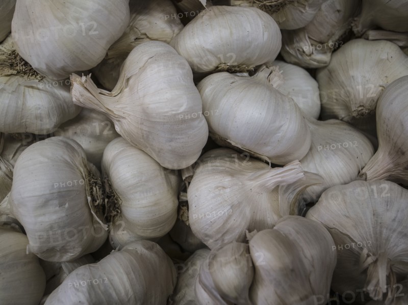 Full frame of white garlic