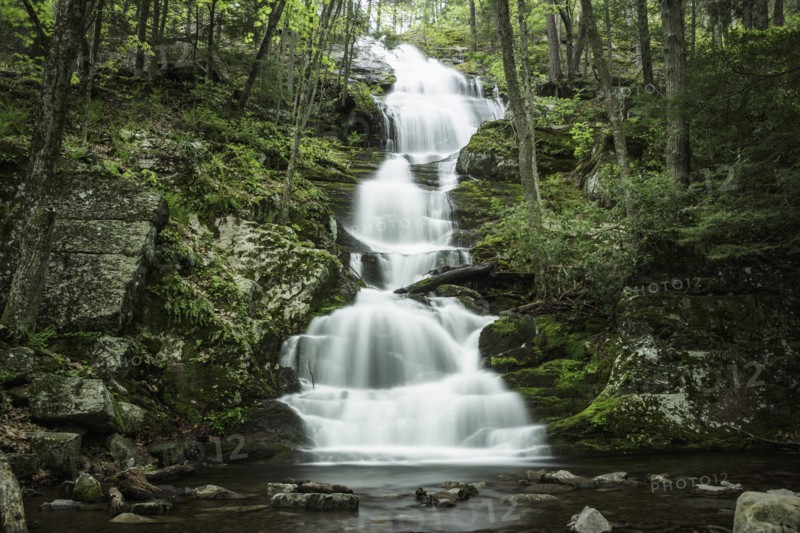 Waterfall falling into river in middle of forest