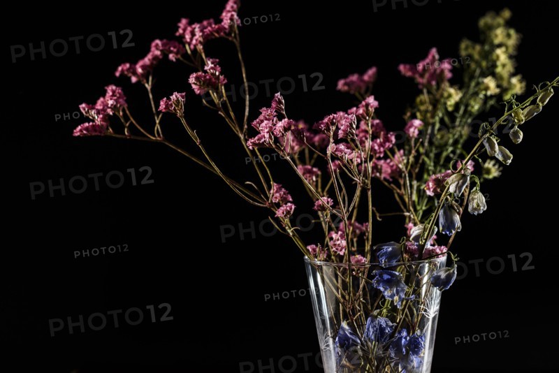 Dried flowers in vase.