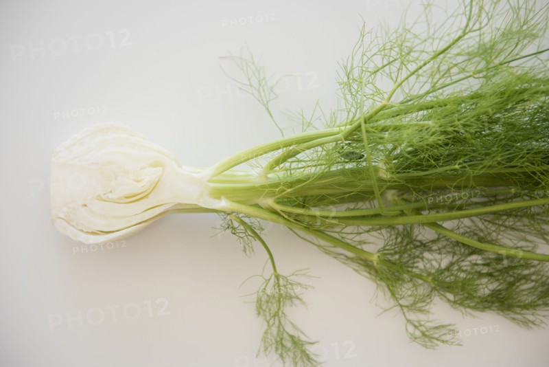 Cross section of fennel on white background