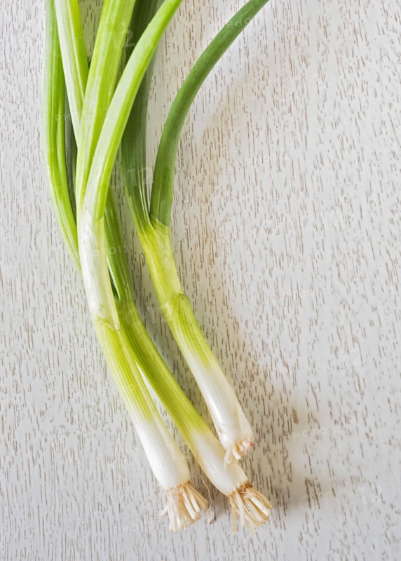 Studio shot of spring onion