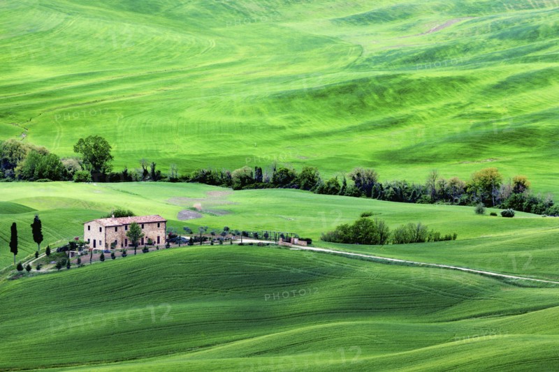 Green rolling landscape with farmhouse