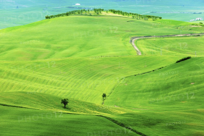 Green rolling landscape with winding road