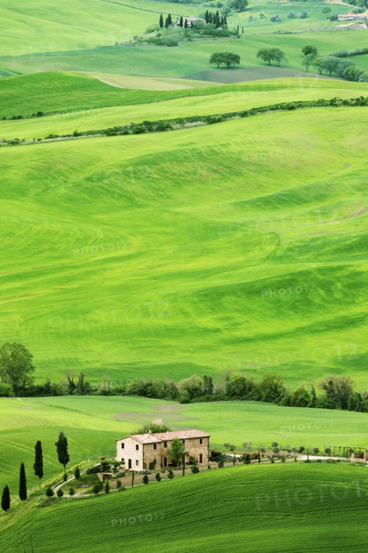 Green rolling landscape with farmhouse