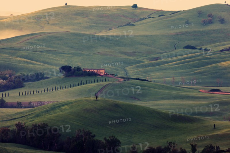 Landscape with green hills