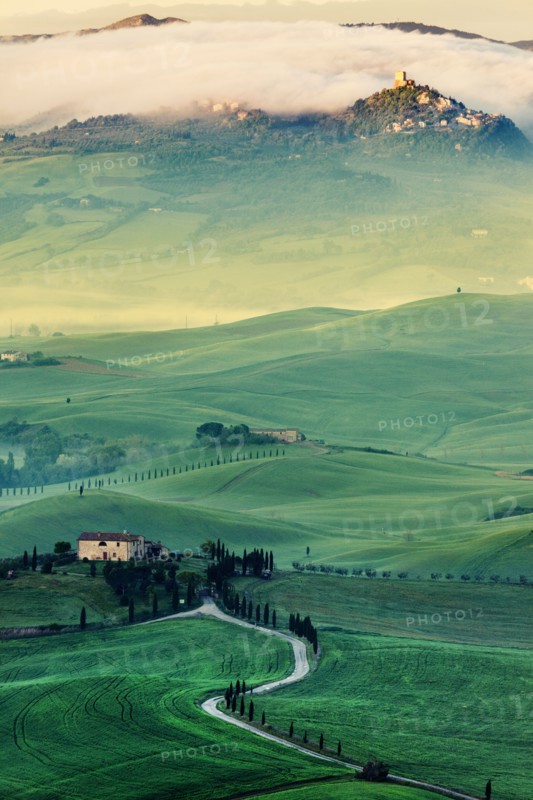 Landscape with green hills